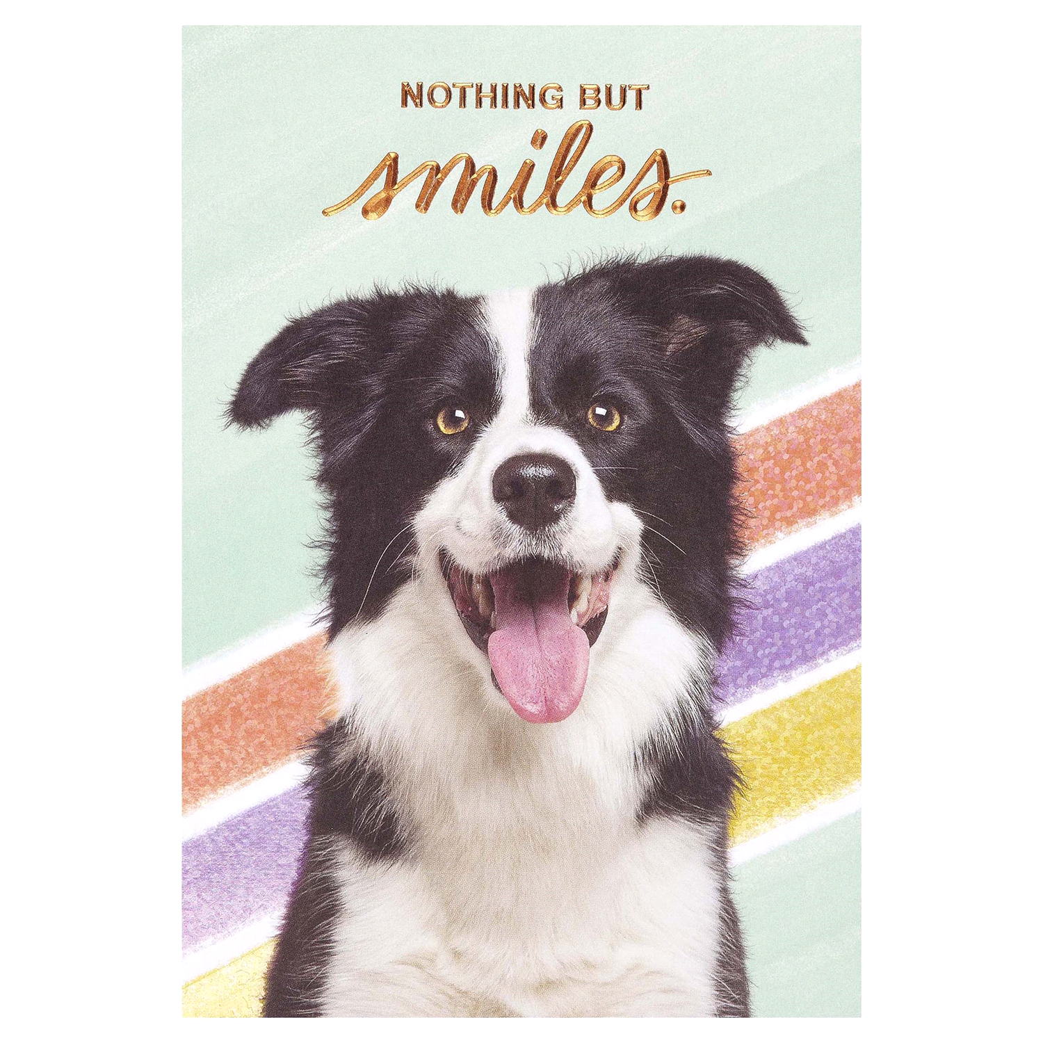 slide 3 of 4, American Greetings Nothing But Smiles Greeting Card 1 ea, 1 ct