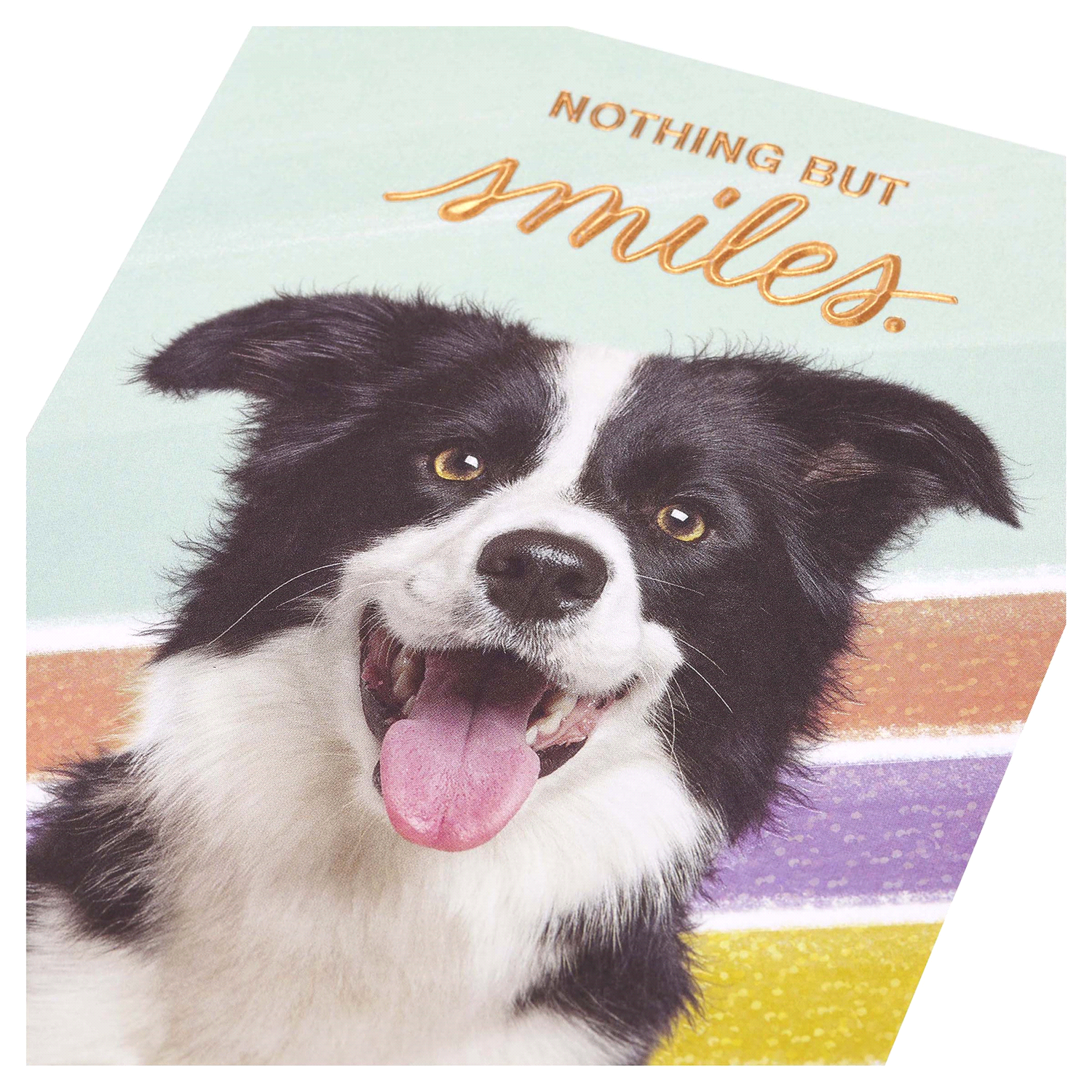 slide 4 of 4, American Greetings Nothing But Smiles Greeting Card 1 ea, 1 ct