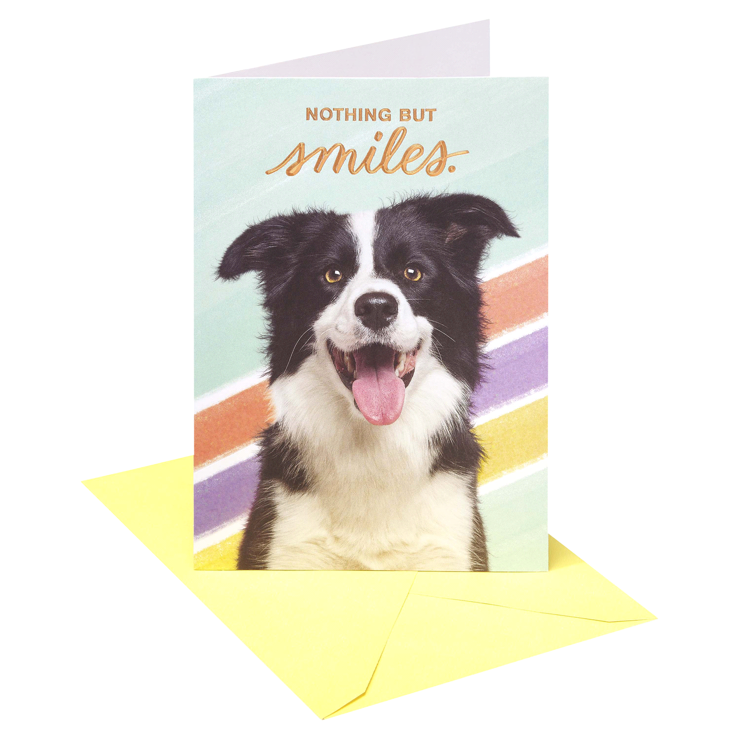 slide 1 of 4, American Greetings Nothing But Smiles Greeting Card 1 ea, 1 ct