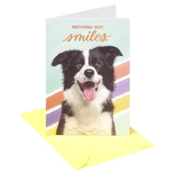 American Greetings Nothing But Smiles Greeting Card 1 ea