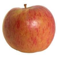 slide 1 of 1, Organic Fuji Apple, per lb