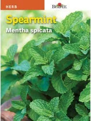 Burpee Spearmint Seeds