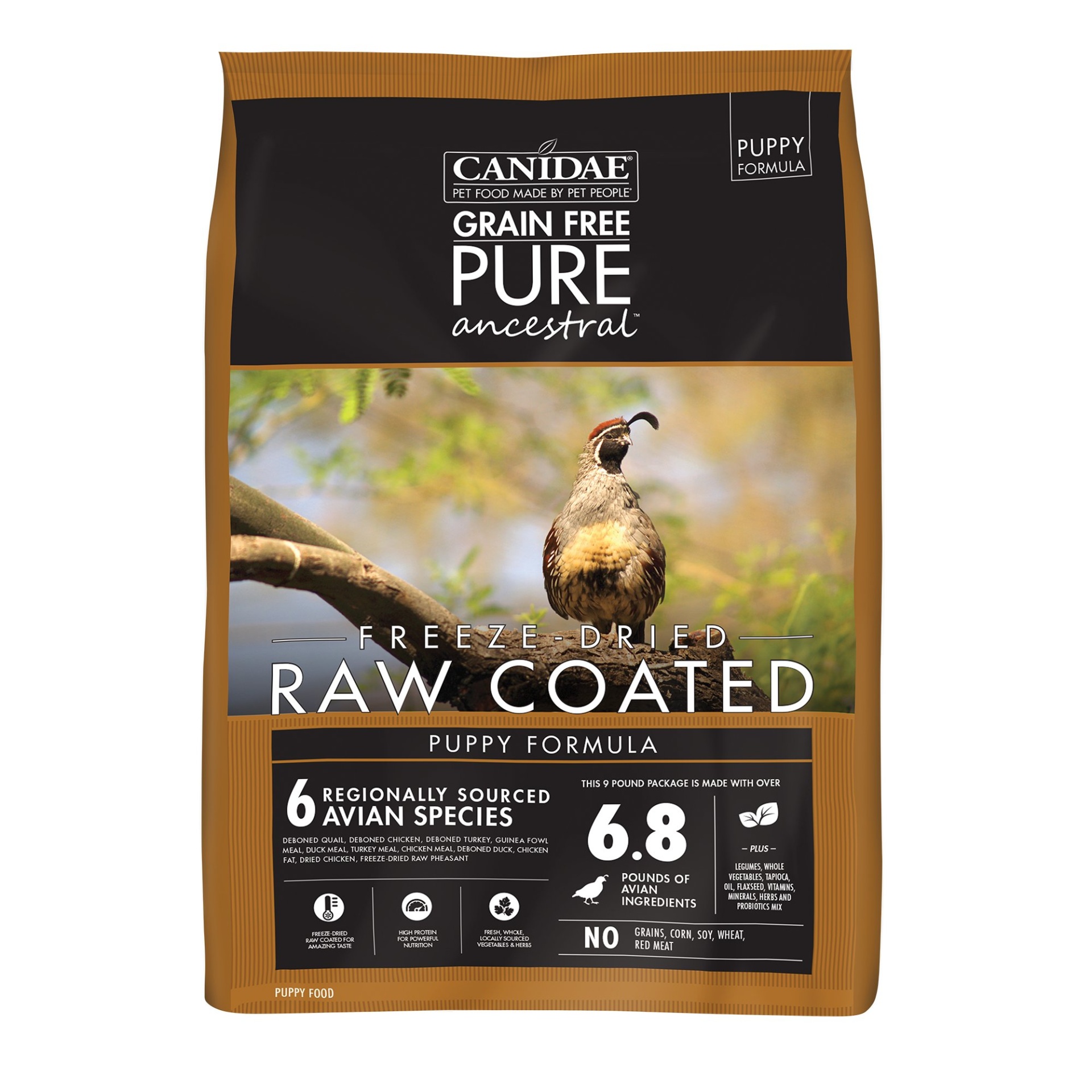 slide 1 of 1, CANIDAE PURE Ancestral Raw Coated Puppy Formula Dry Dog Food, 9 lb