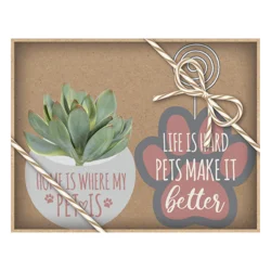 NV Succulent Clippie Set