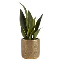 New View Faux Greenery In Textured Gold Vase