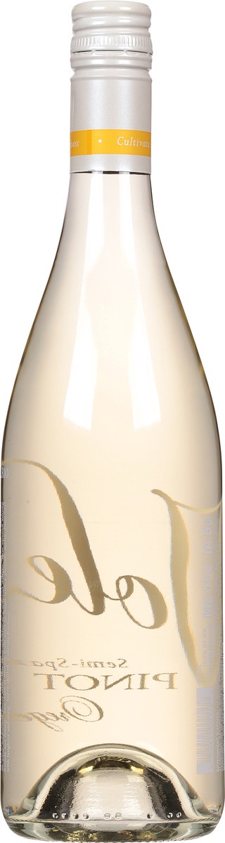 slide 3 of 9, Jolee Semi Sparkling Pinot Gris White Wine, 750 ml