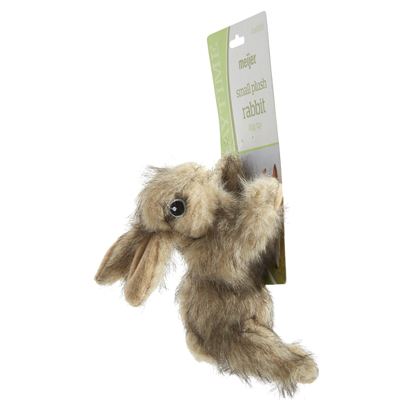slide 12 of 29, Meijer Realistic Floppy Rabbit Plush Squeaking Dog Toy, 6.5", SMALL     