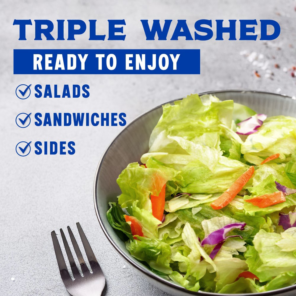 slide 2 of 3, Fresh Selections Classic Garden Salad, 12 oz