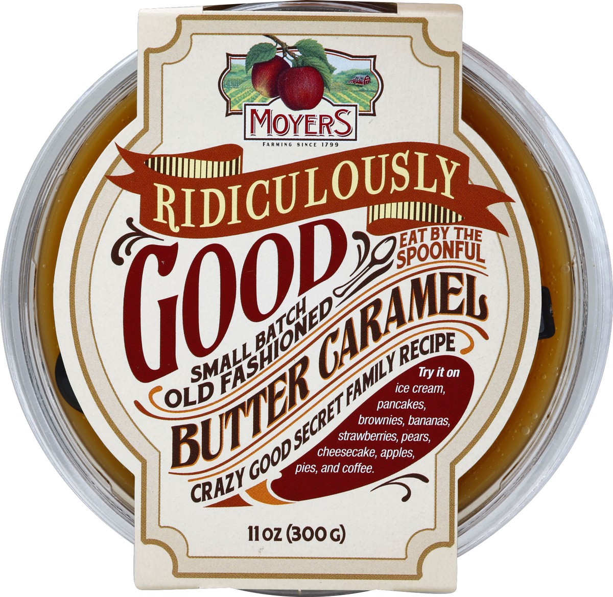 slide 2 of 3, Moyers Fruit Dip & Dessert Sauce, Butter Caramel, 11 oz