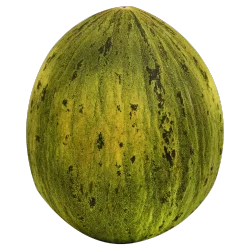 Melons - Camouflage