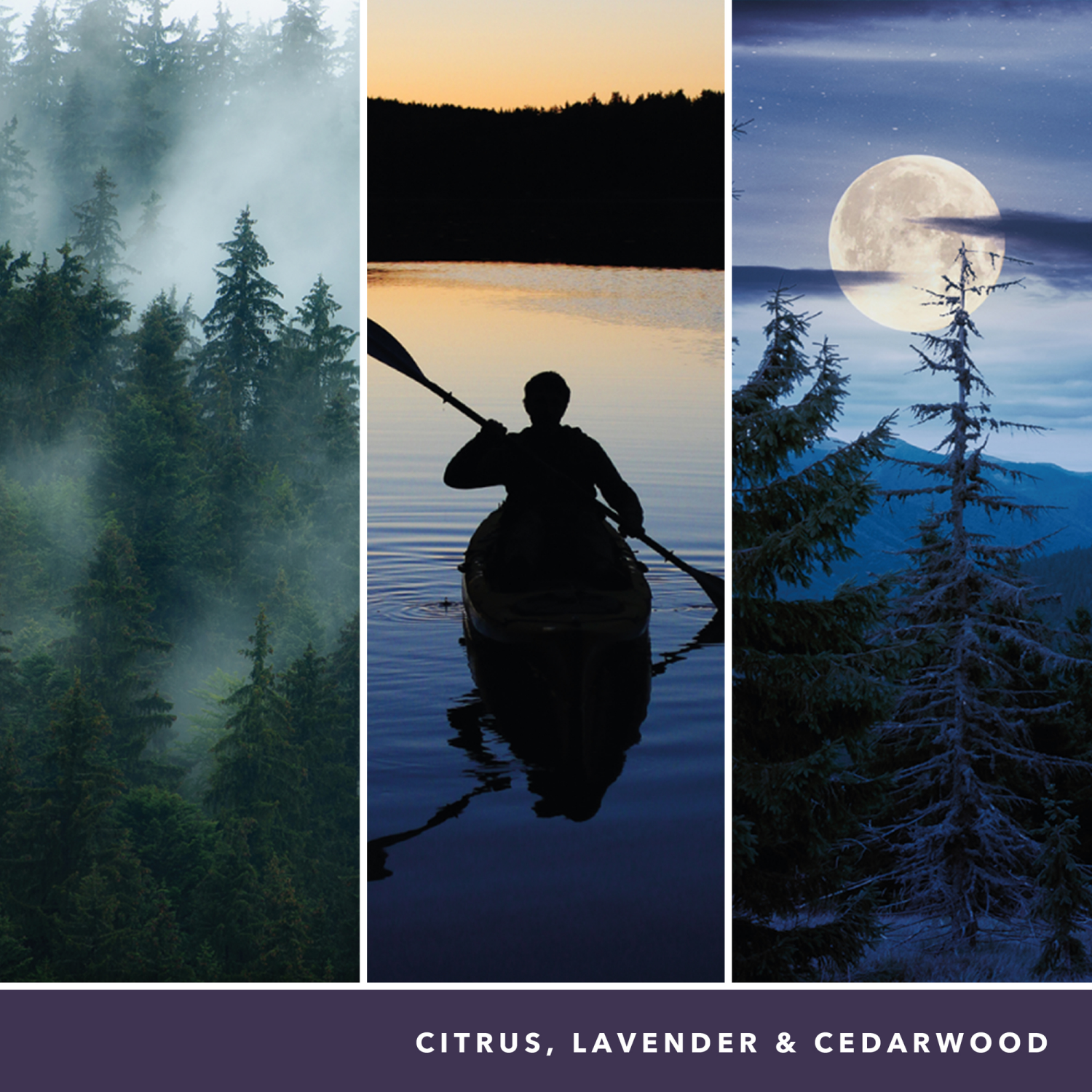 slide 2 of 2, Yankee Candle Car Jar Midsummer's Night Air Fresheners 3 ea, 3 ct