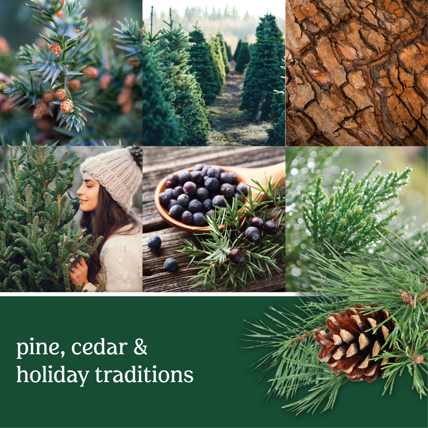 slide 2 of 3, Yankee Candle ScentPlug Balsam & Cedar Refill 0.625 oz, 0.625 oz