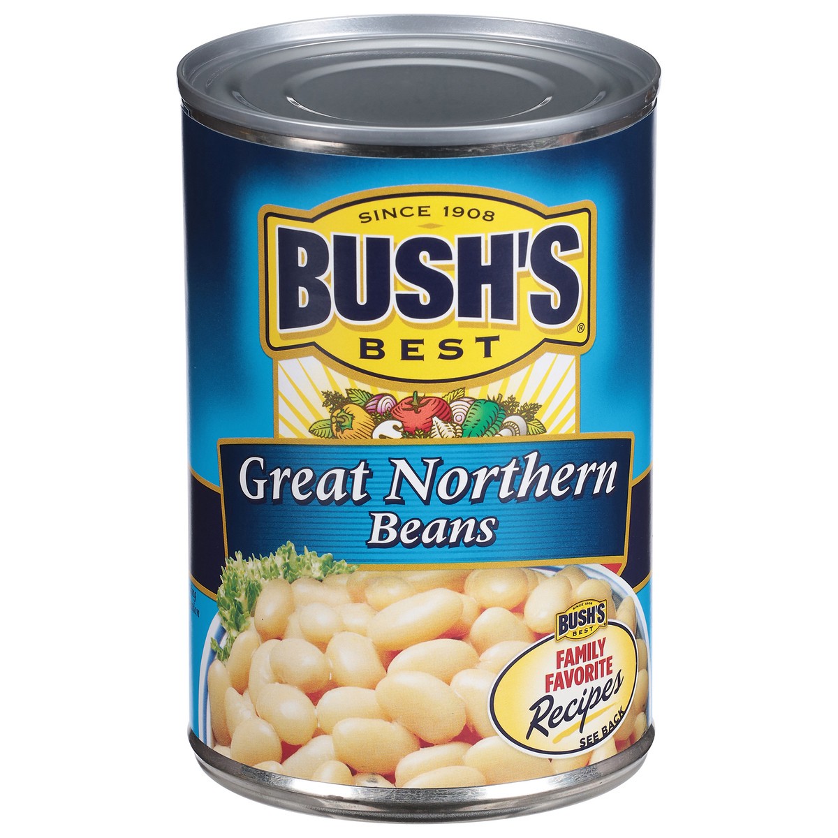 slide 1 of 66, Bush's Best Bush's Great Northern Beans 15.8 oz, 15.8 oz