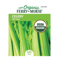 Ferry Morse Celery Organic