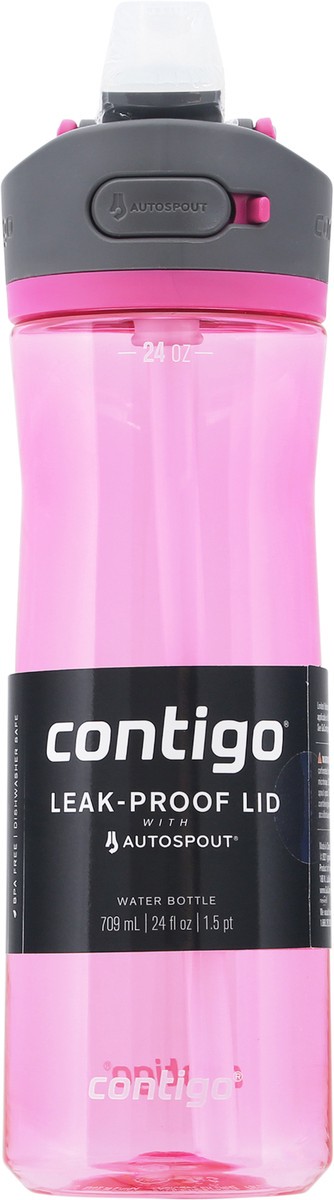 slide 4 of 9, Contigo Ashland Dragon Fruit - Ea, 1 ct