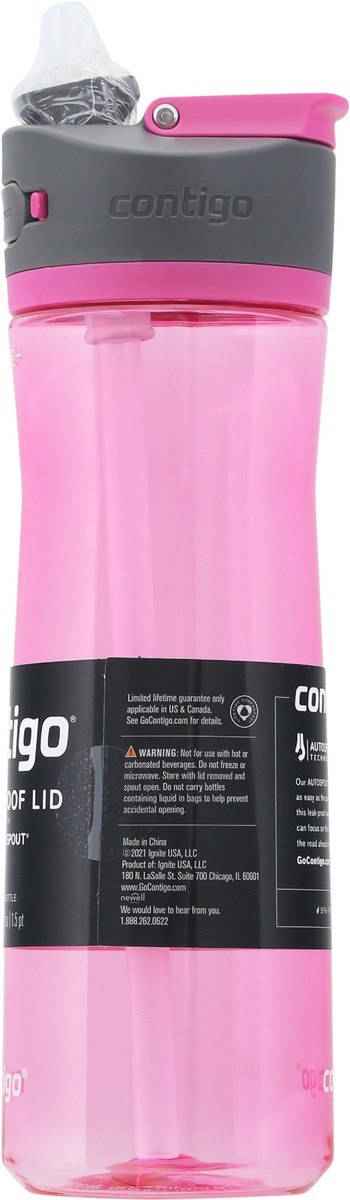 slide 6 of 9, Contigo Ashland Dragon Fruit - Ea, 1 ct