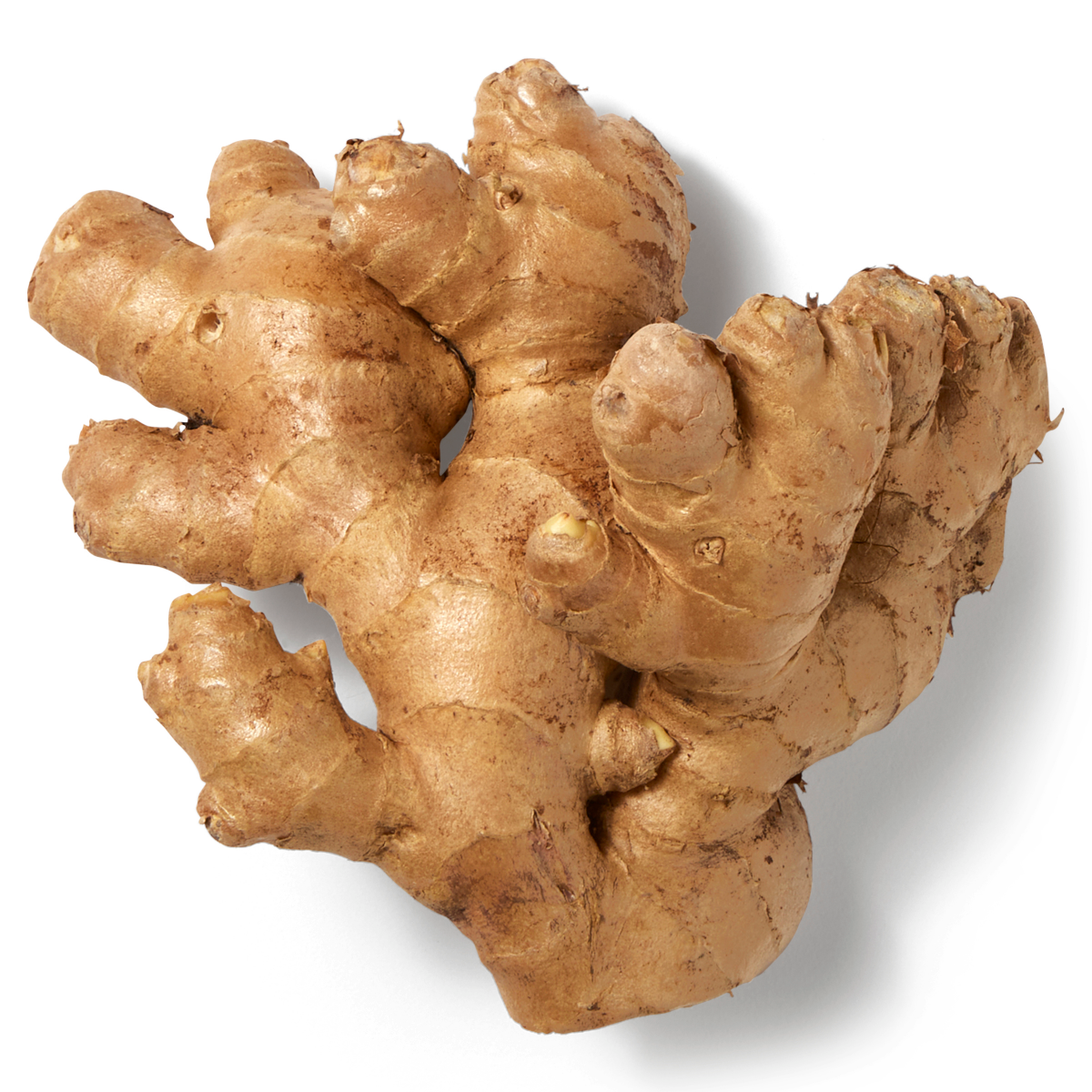 slide 1 of 1, Ginger Root, 1 ct