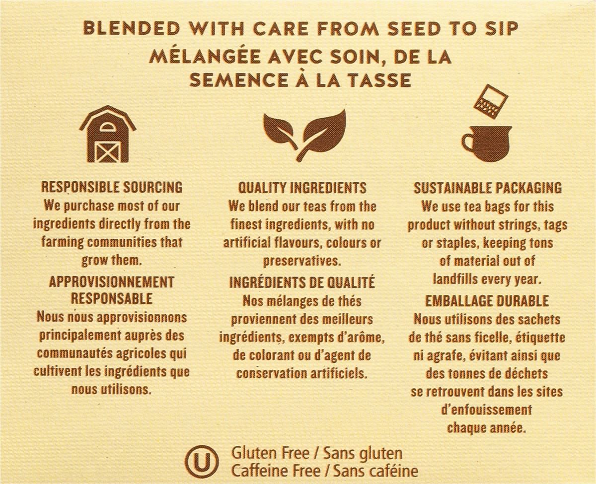 slide 8 of 14, Celestial Seasonings Caffeine Free Cinnamon Apple Spice Herbal Tea 20 Tea Bags, 20 ct