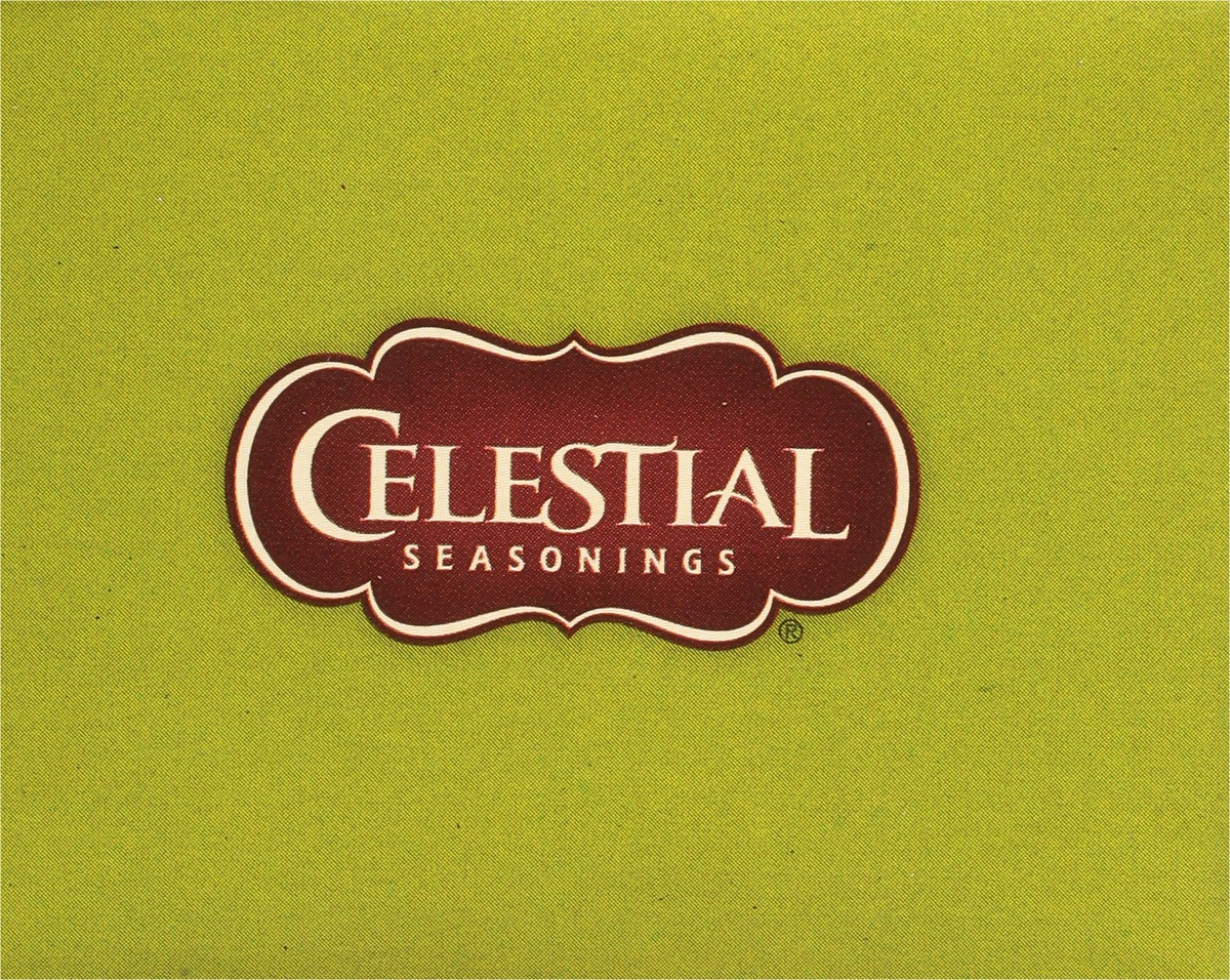 slide 7 of 14, Celestial Seasonings Caffeine Free Cinnamon Apple Spice Herbal Tea 20 Tea Bags, 20 ct