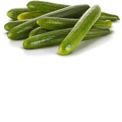 Cucumber Seedless