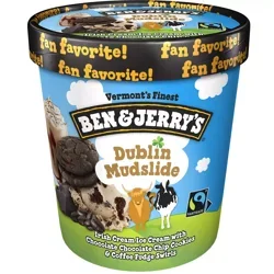 Ben & Jerry's Dublin Mudslide Ice Cream 1 pt