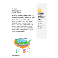 slide 2 of 5, Burpee Sunflower Velvet Queen, 1 ct