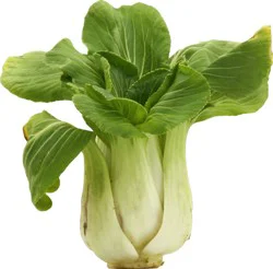 Baby Bok Choy