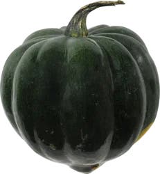 Squash - Green - Acorn