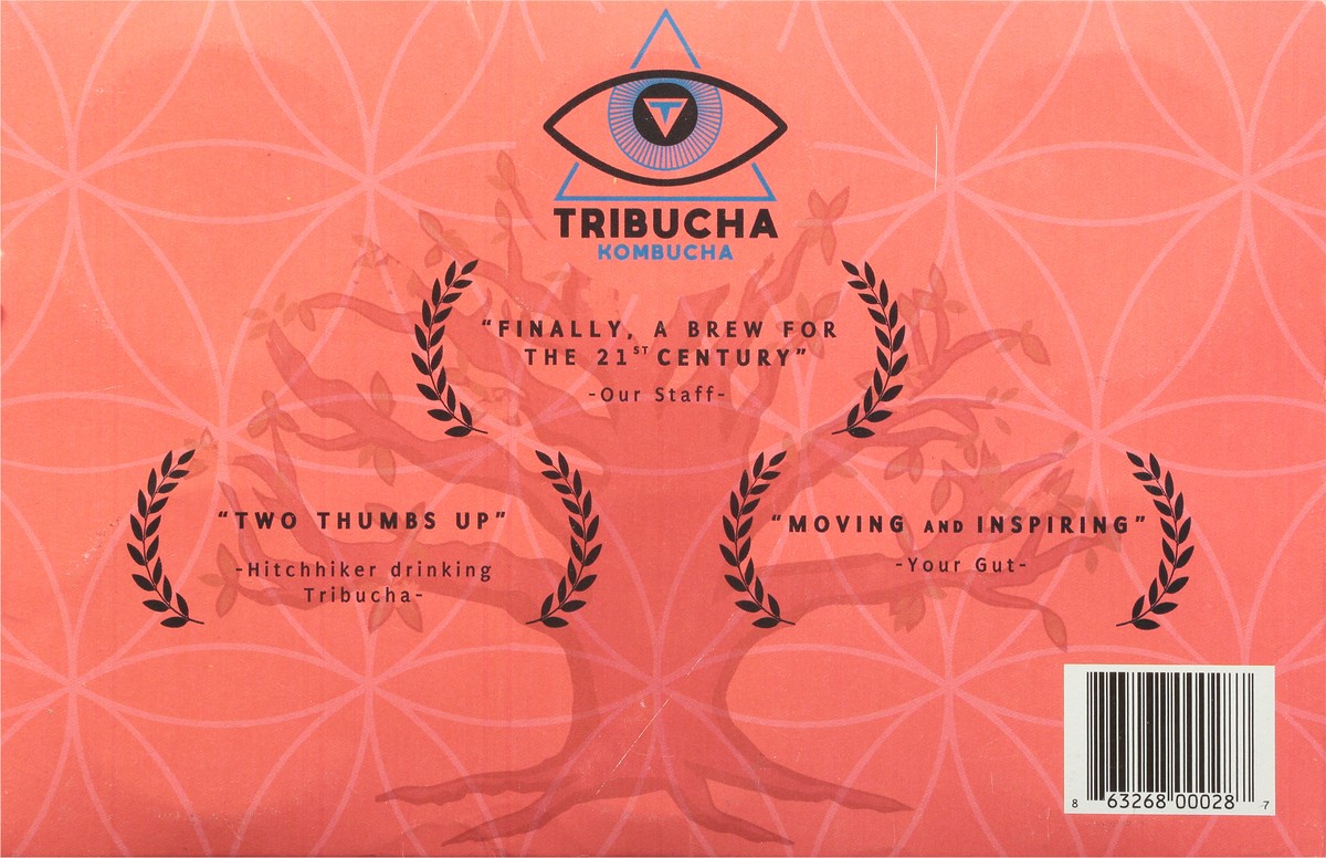 slide 4 of 9, Tribucha Flowers of Life Hibiscus, Rose & Honeysuckle Kombucha 6 - 12 fl oz, 6 ct