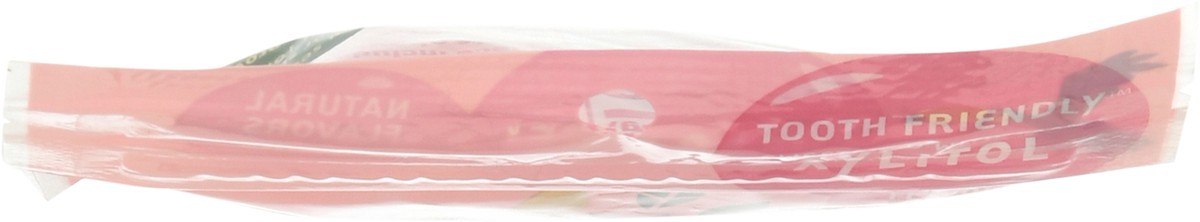 slide 11 of 12, Tree Hugger Classic Flavor Sugar Free Bubble Gum 8 Pieces, 8 ct