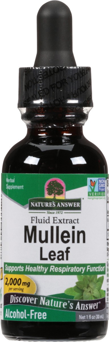 slide 3 of 12, Nature's Answer Fluid Extract Mullein Leaf 1 fl oz, 1 fl oz