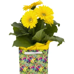4.5'' Asst Blooming Gift Bags