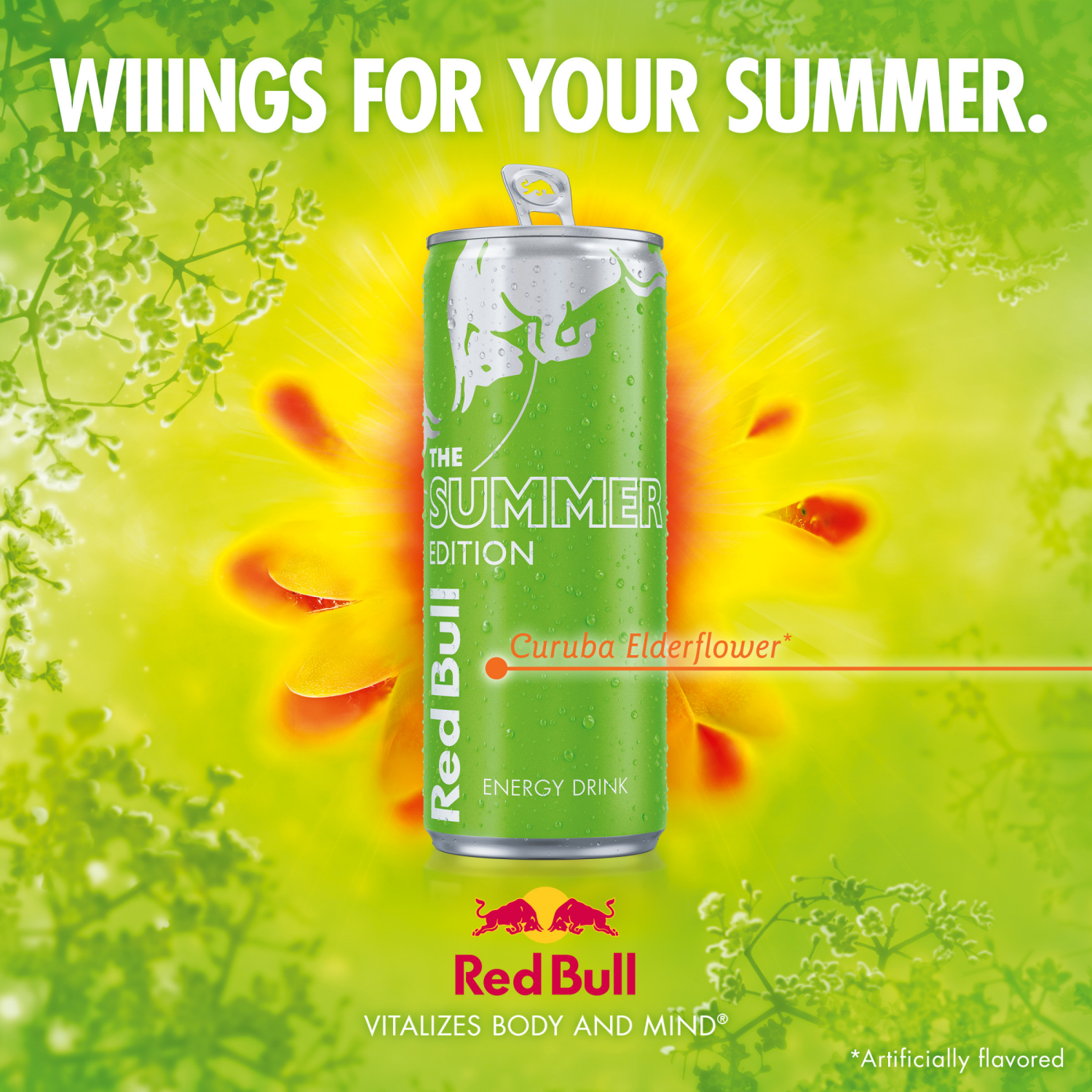 slide 5 of 8, Red Bull Green Edition Energy Drink, Curuba Elderflower, 8.4 fl. oz., Pack of 4 cans, with 80mg Caffeine, Taurine & B Vitamins, 4 ct; 8.4 fl oz