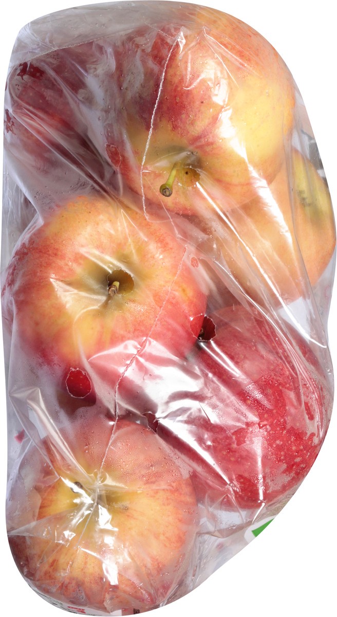 slide 7 of 7, Applewood Fresh Gala Apples 48 oz, 1 ct