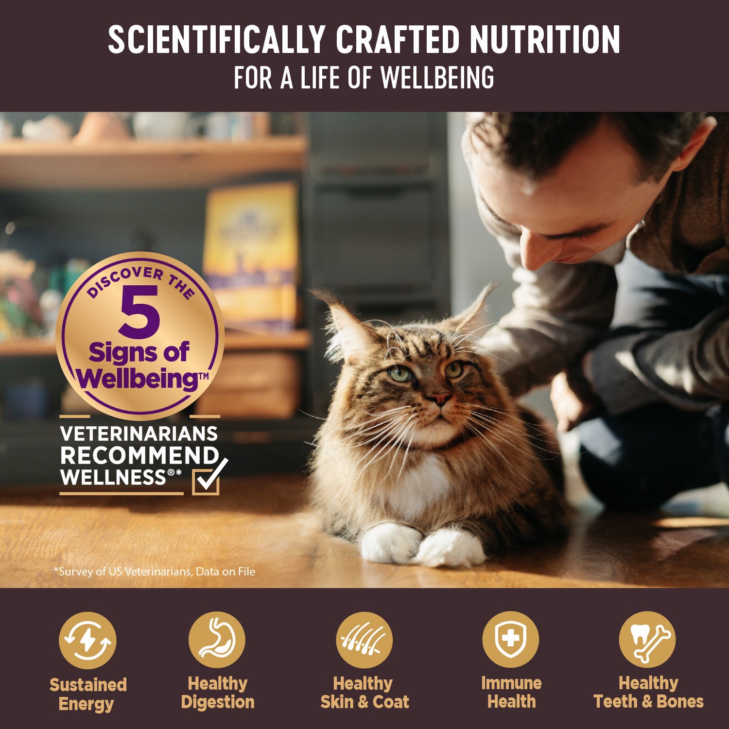 slide 3 of 9, Wellness CORE Signature Selects Shredded Adult Wet Cat Food, Natural, Protein-Rich, Grain Free, 2.8 Ounce, (Chicken & Beef Entree), 1 ct