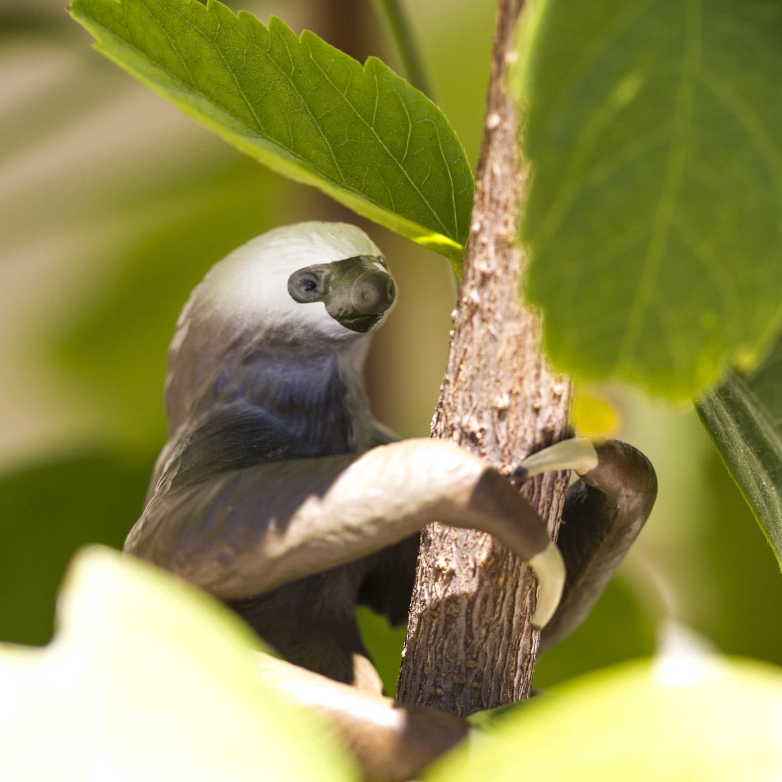 slide 3 of 4, Safari Ltd. Safari Ltd Two-Toed Sloth Toy, 2.1 in x 2.1 in x 2.45 in
