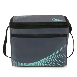 Arctic Zone Core Lunchbox Caddy, GREY/MINT