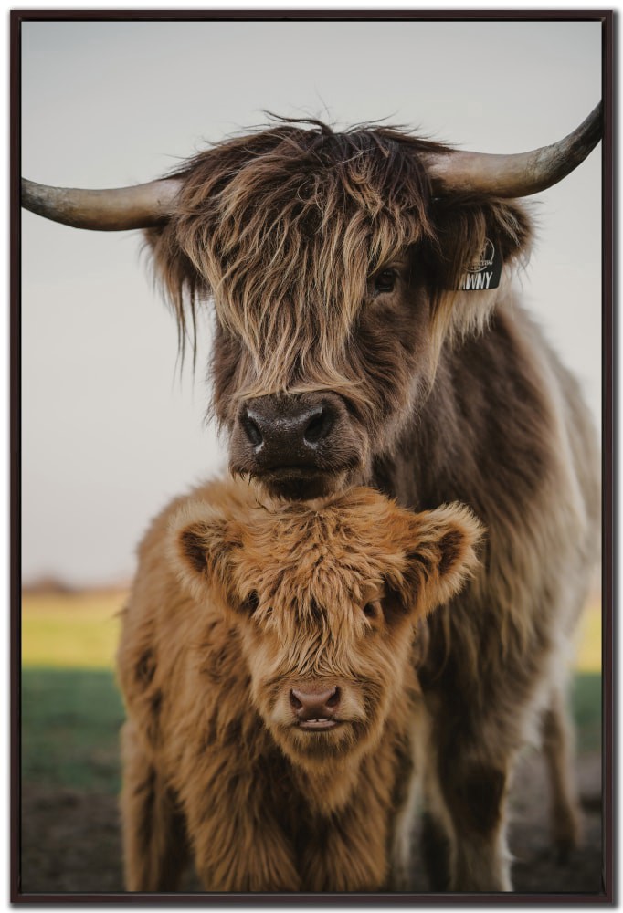 slide 1 of 1, Mom And Zeke Cow & Calf Wall Art, 1 ct
