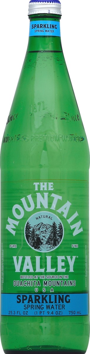 slide 4 of 4, Mountain Valley Sparkling Spring Water, 25.3 fl oz