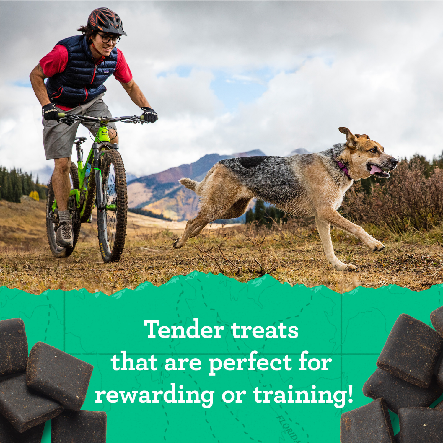 slide 4 of 5, Zuke's Zuke''s Hip and Joint Support Dog Treats for Adult Dogs of All Sizes, Senior Dog Treats made with Real Peanut Butter and Oats, 6 oz. Resealable Pouch, 6 oz