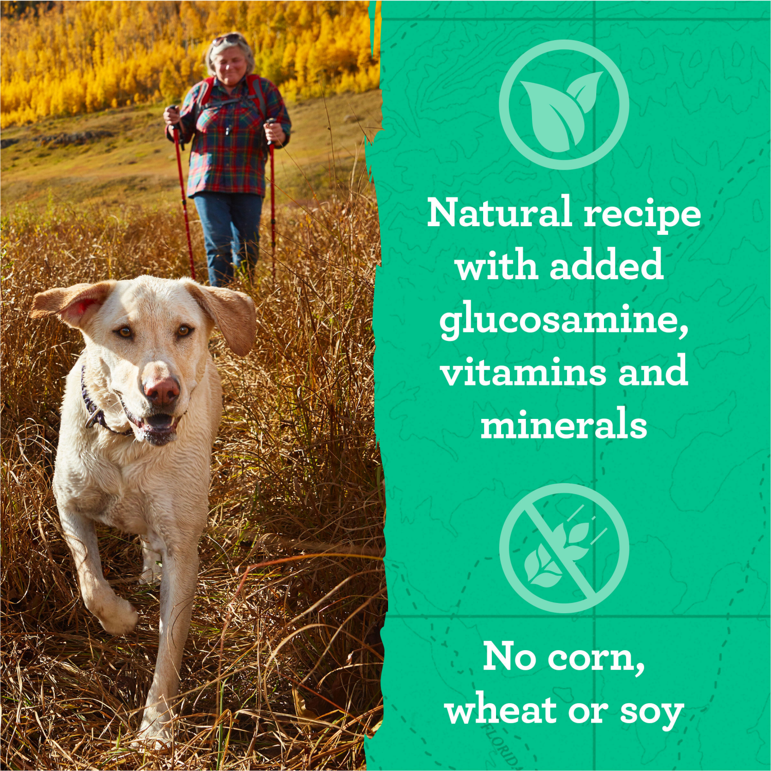 slide 4 of 5, Zukes Hip And Joint Dog Treats, Soft And Chewy Natural Bag Of Treats, Hip And Joint Support, Chicken Recipe - 6 oz. Bag, 6 oz