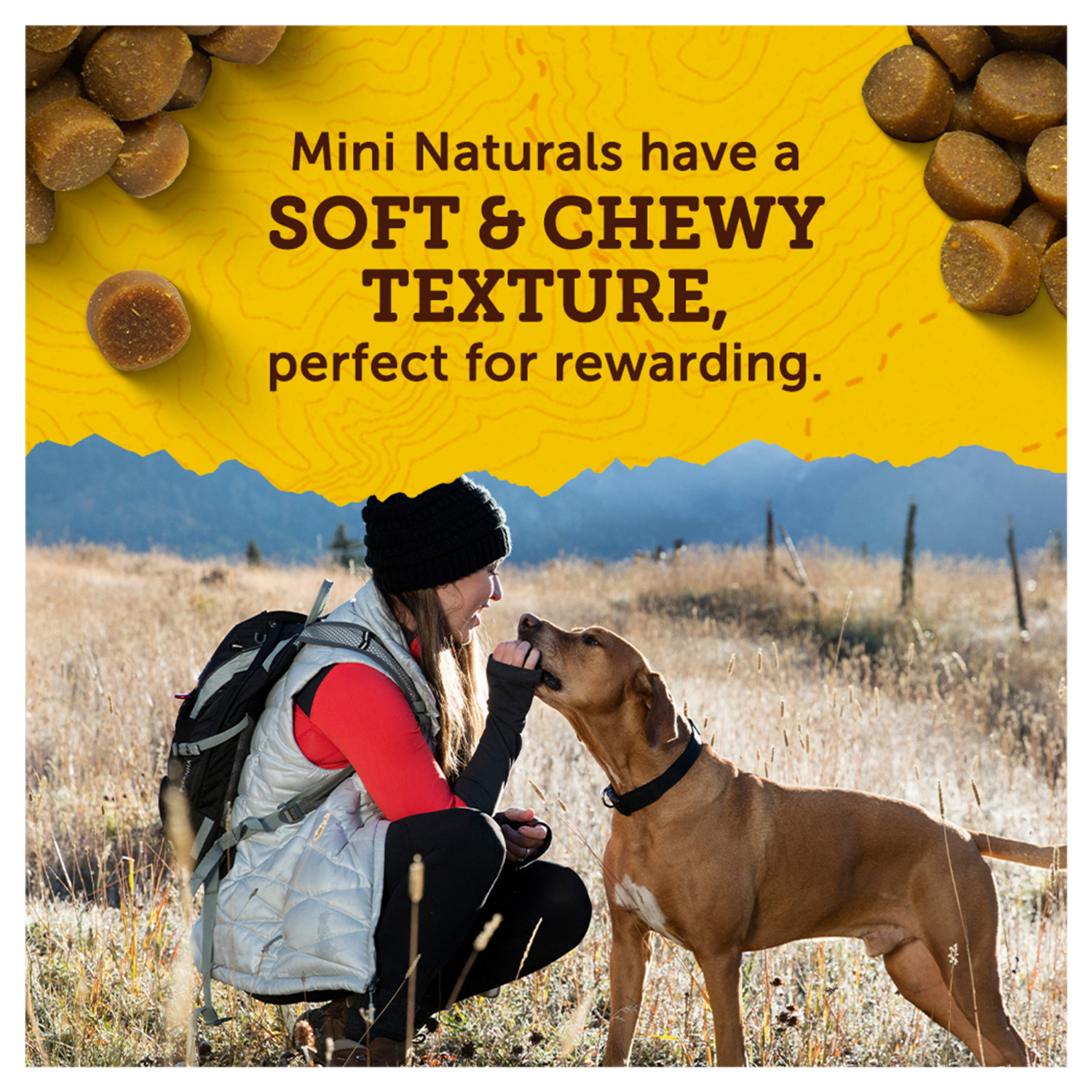 slide 6 of 8, Zuke's Zuke’s Mini Naturals Dog Training Treats for Dogs of All Sizes, Pet Treats made with Real Salmon - 3 oz. Pouch, 3 oz