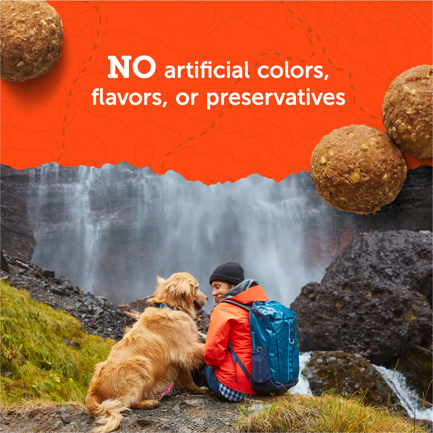 slide 7 of 8, Zuke's Zuke''s Adventure Bites Pet Treats For Dogs of All Sizes, Soft Dog Treats With Real Peanut Butter and Oats, 6 oz