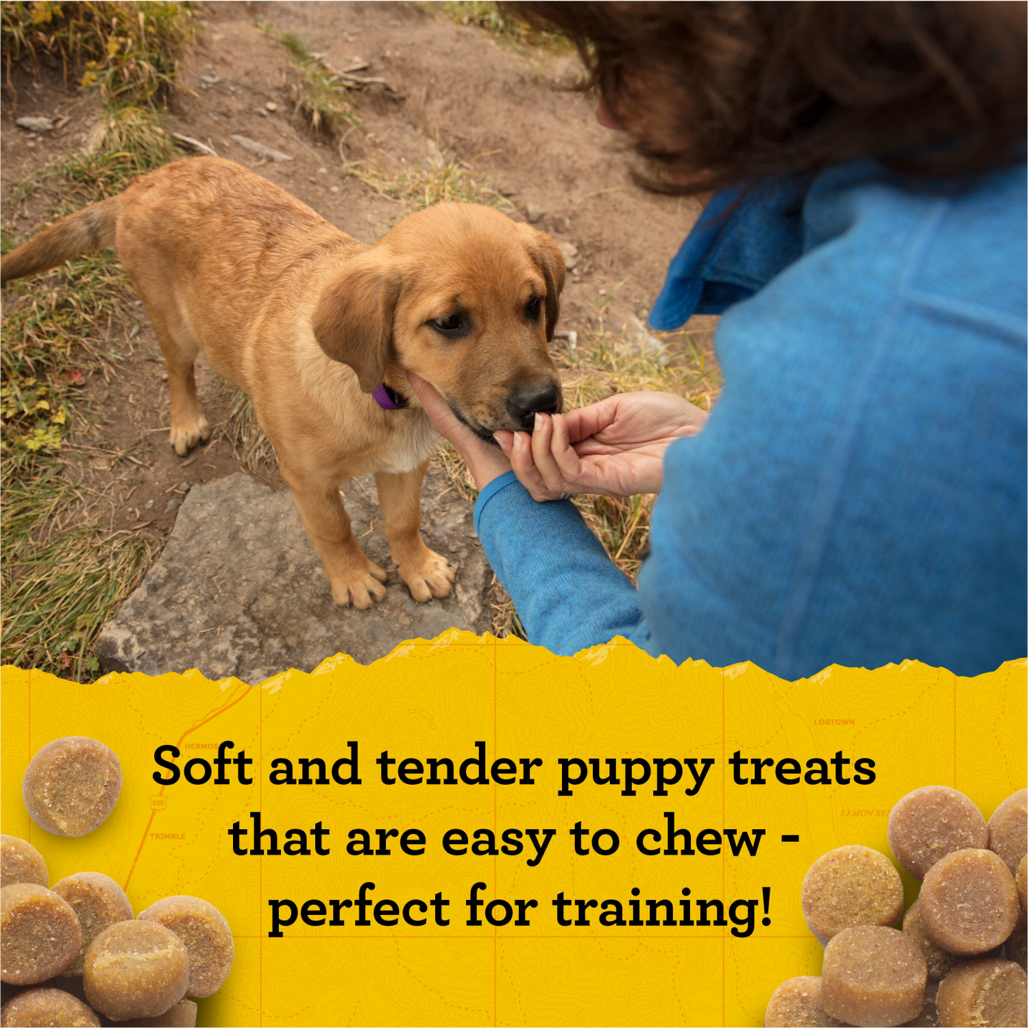 slide 4 of 5, Zukes Puppy Naturals Bag of Soft Puppy Treats for Training, Natural Dog Treats Bites With Lamb Recipe - 5.0 OZ Bag, 5 oz