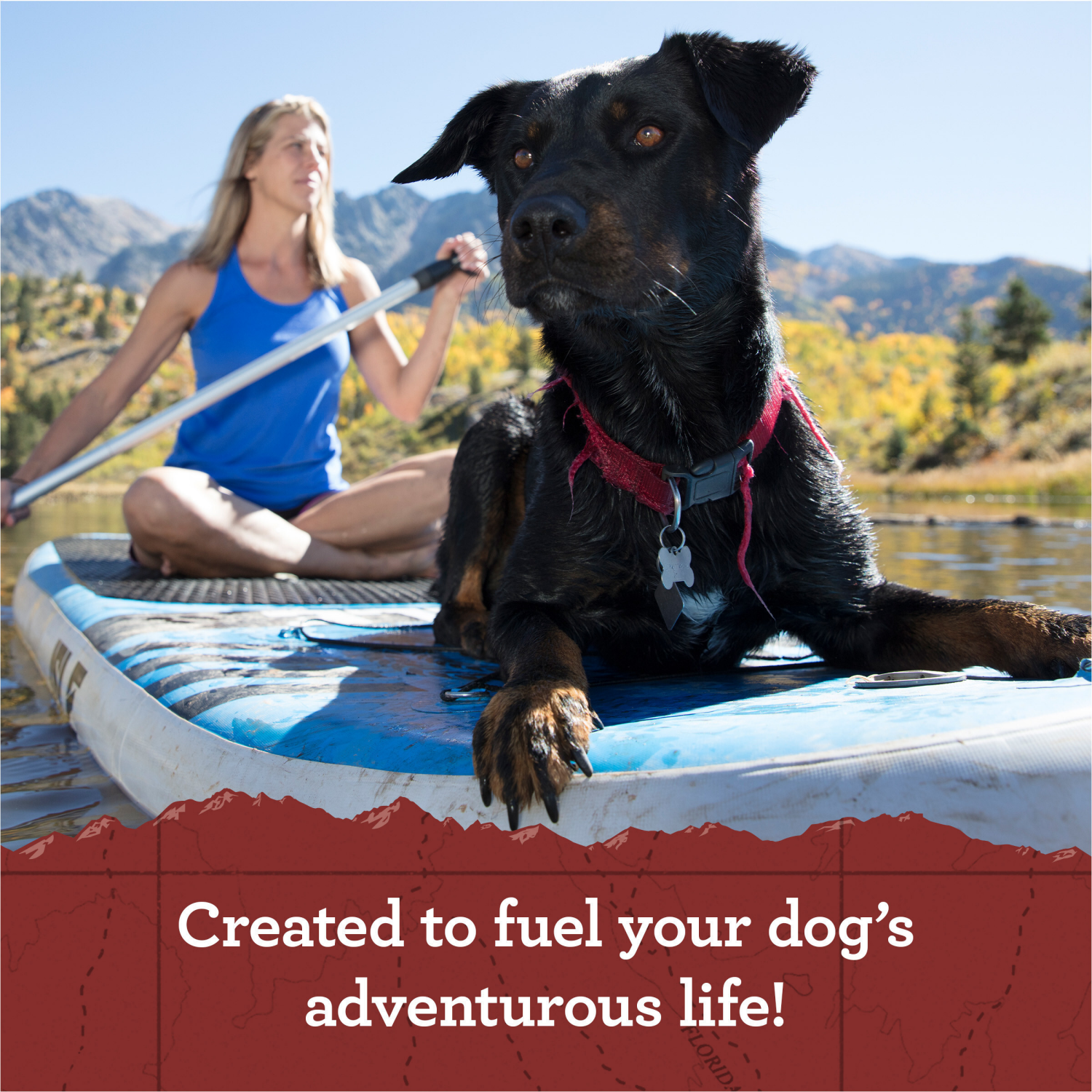 slide 4 of 5, Zuke's Zuke’s Lil’ Links Dog Treats for Dogs, Snacking Sausage Treats for Dogs, Made with Real Pork & Apple, 6 oz. Resealable Pouch - 6 oz. Bag, 6 oz