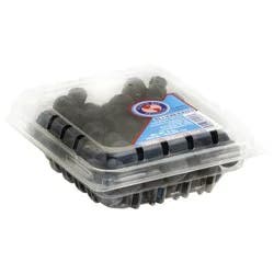 Northbay Blueberries