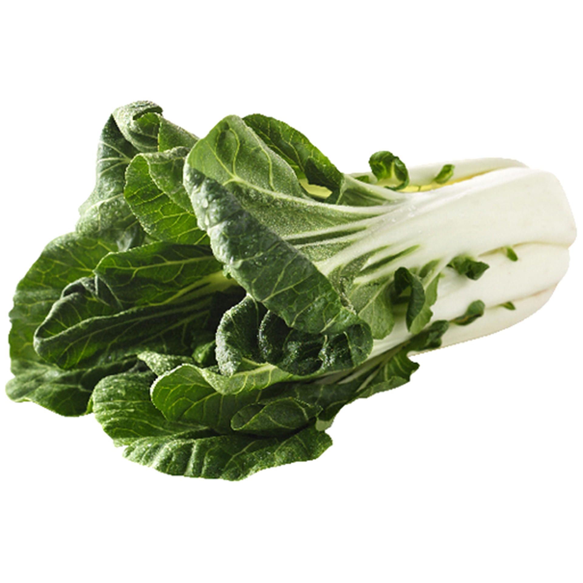 slide 1 of 1, Conventional Bok Choy, 1 bunch