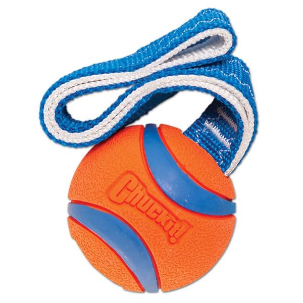 slide 3 of 8, Chuckit!! Ultra Tug Dog Toy, 1 ct