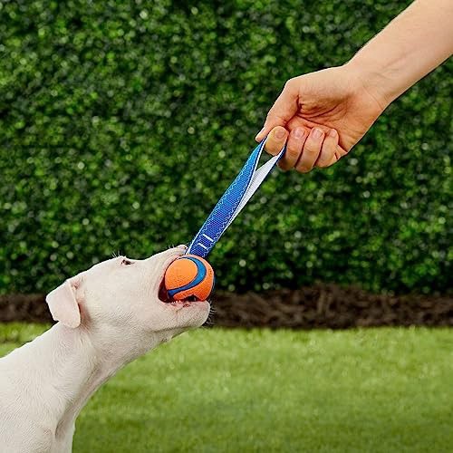slide 2 of 8, Chuckit!! Ultra Tug Dog Toy, 1 ct