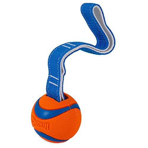 slide 4 of 8, Chuckit!! Ultra Tug Dog Toy, 1 ct